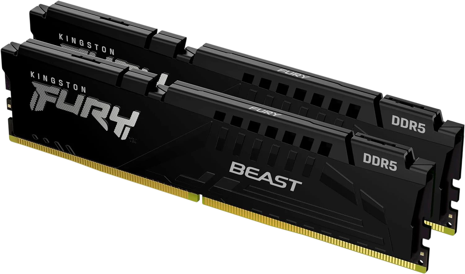 Kingston FURY Beast DDR5 Memory