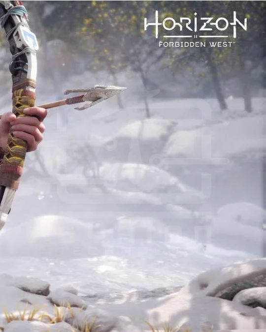 Horizon Forbidden West (PS5)