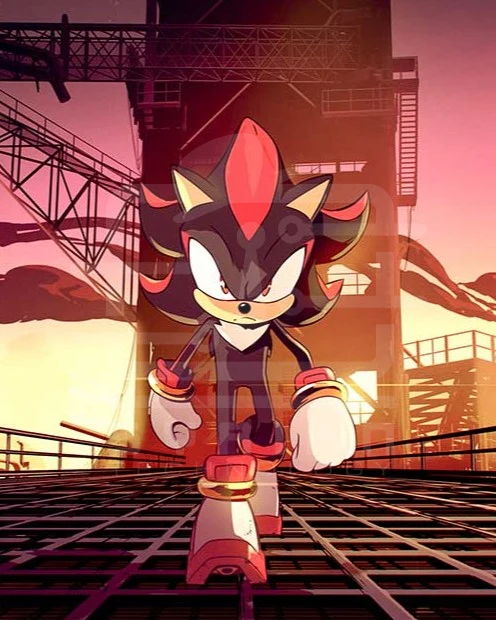 SONIC SHADOW (PS5)